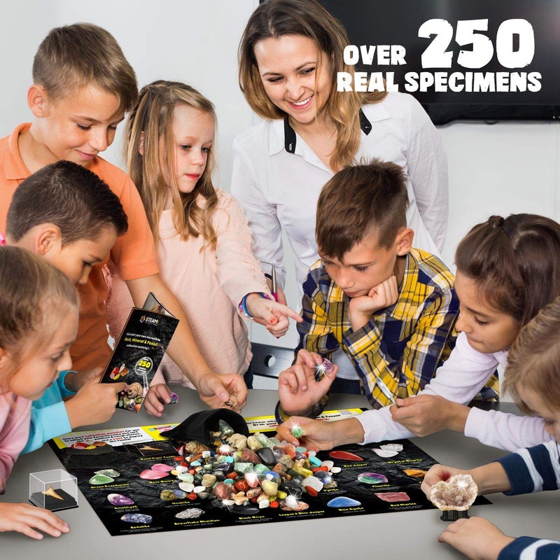 XX Rocks Minerals & Fossils Collection for Kids 250+ Real Gemstones and Crystals Rock Identification Kit Includes Display Case, Genuine Fossils, Geodes Great Geology, Science Gift for Boys & Girls - Image 2